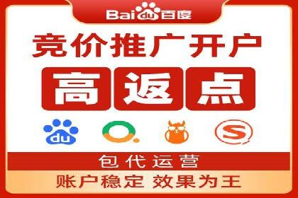 百度竞价策略解析：案例分析及优化建议